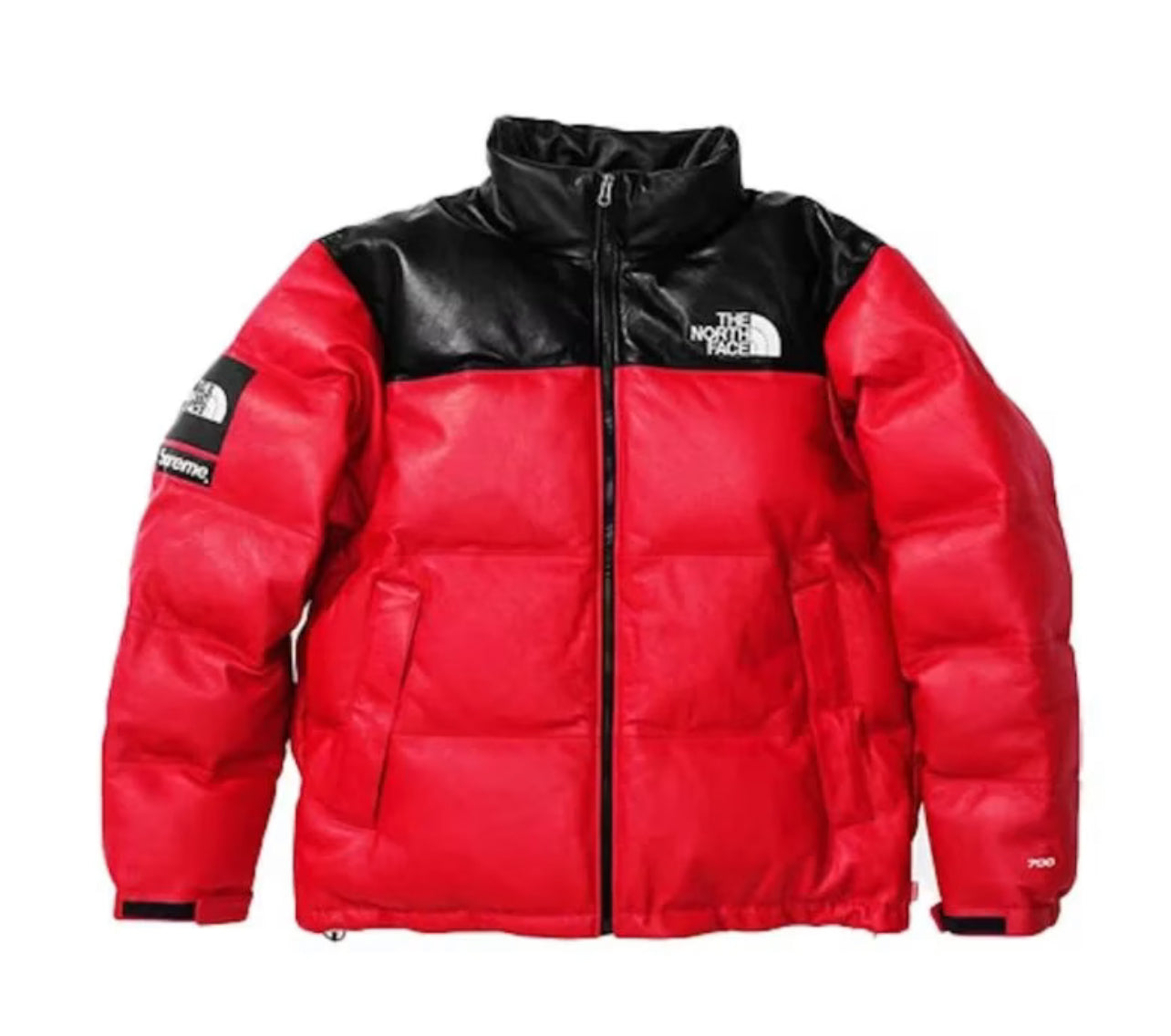Chaqueta THE NORTH FACE