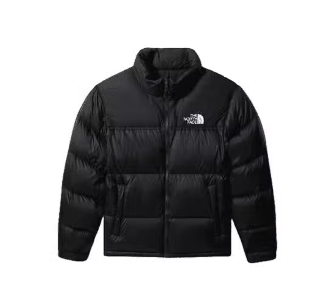 Chaqueta THE NORTH FACE